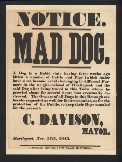 Mad dog notice, Hartlepool, 1843 by English School