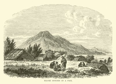 Maori Houses in a Pah by English School