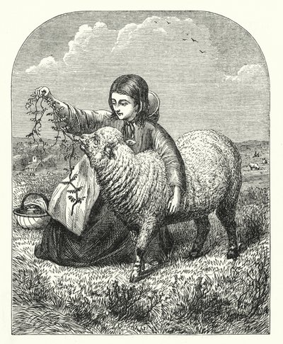 Mary