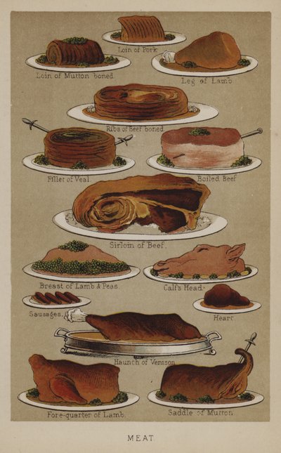 Meat by English School