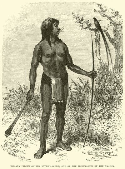 Mesaya Indian of the River Japura, one of the Tributaries of the Amazon by English School