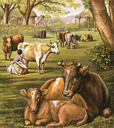 Milking cows by English School