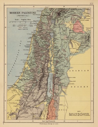 Modern Palestine by English School