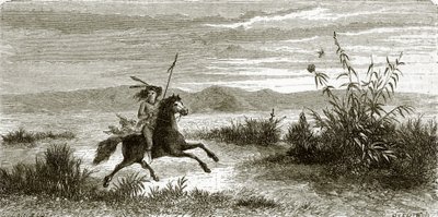 Mohave Horseman by English School