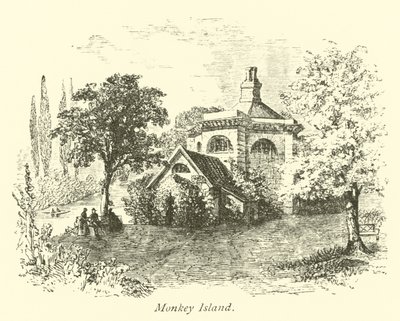 Monkey Island by English School