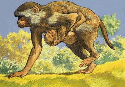 Monkey carrying a baby monkey by English School