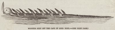 Monster seen off the Cape of Good Hope by English School