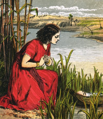 Moses Being Put in the Bull Rushes by English School