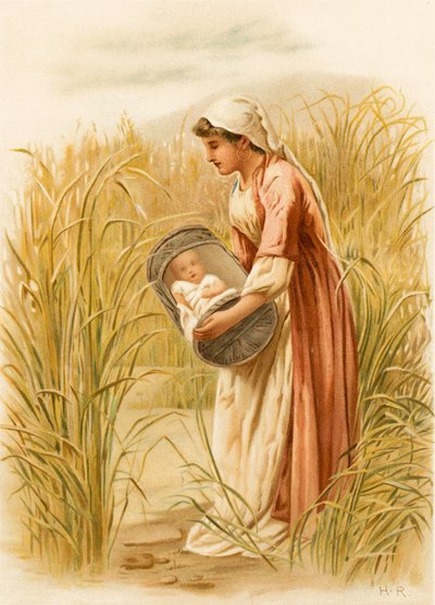 Moses in the bulrushes by English School