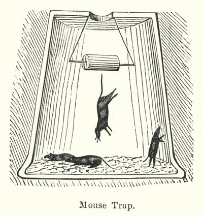 Mouse Trap by English School