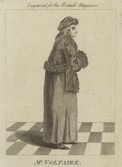 Mr Voltaire by English School
