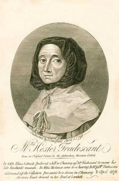 Mrs. Hester Tradescant by English School