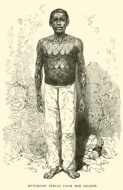 Mundrucu Indian from the Amazon by English School