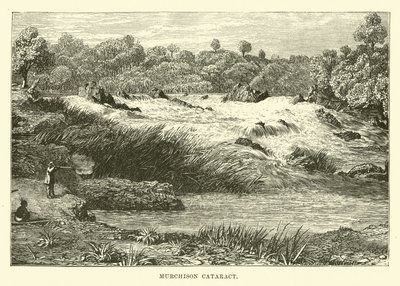 Murchison Cataract by English School