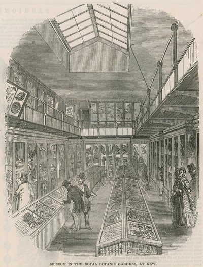 Museum in the Royal Botanic Gardens, at Kew by English School