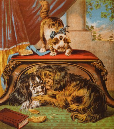 My Kitten by English School
