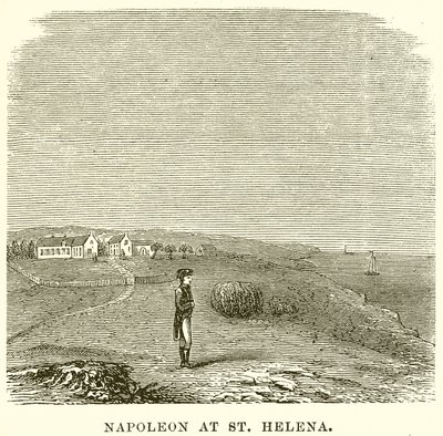 Napoleon at St. Helena by English School
