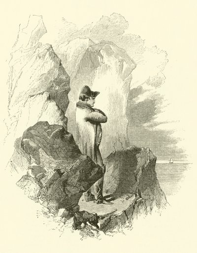 Napoleon in Exile (engraving) by English School