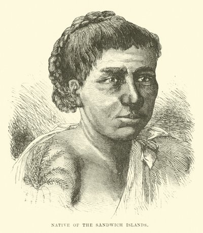 Native of the Sandwich Islands by English School