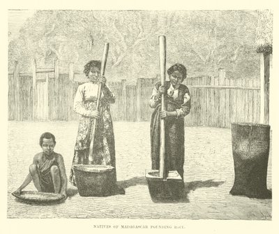 Natives of Madagascar Pounding Rice by English School