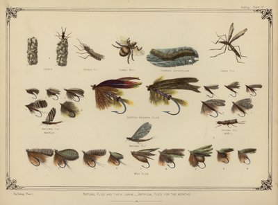 Natural Flies and Their Larvae, Artificial Flies for the Months by English School