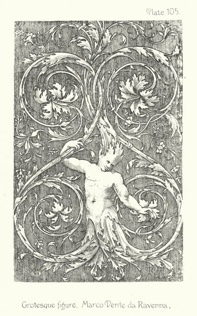 Nature in Ornament: Grotesque figure, Marco Dente da Ravenna by English School