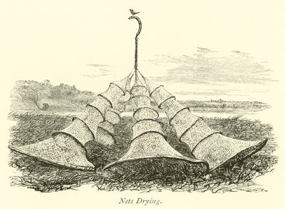 Nets Drying by English School