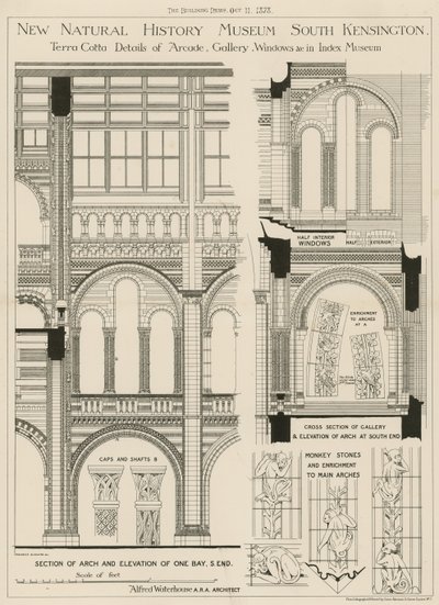 New Natural History Museum, South Kensington, London by English School