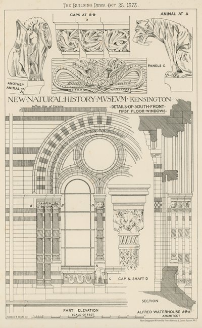 New Natural History Museum, South Kensington, London by English School