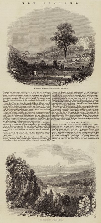 New Zealand (engraving) by English School