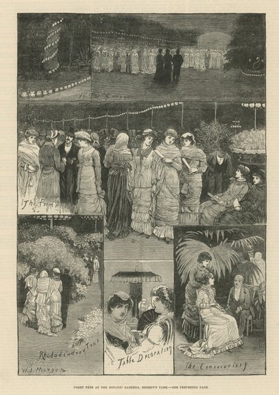 Night Fete at the Botanic Gardens by English School
