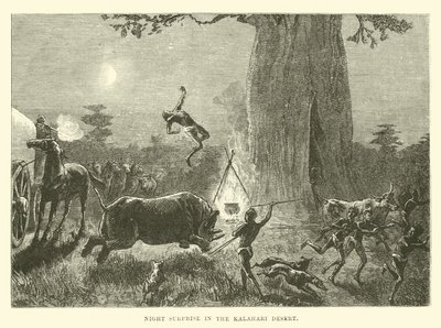 Night Surprise in the Kalahari Desert by English School