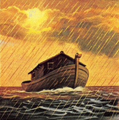 Noah