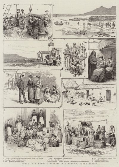 Notes in a Lunatic Asylum at Capetown, South Africa by English School