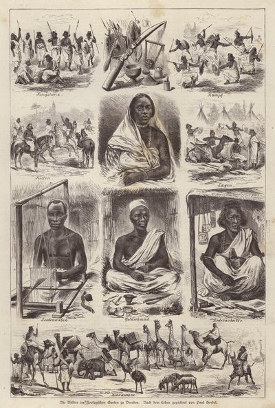 Nubians at the Zoological Garden of Dresden, Germany by English School