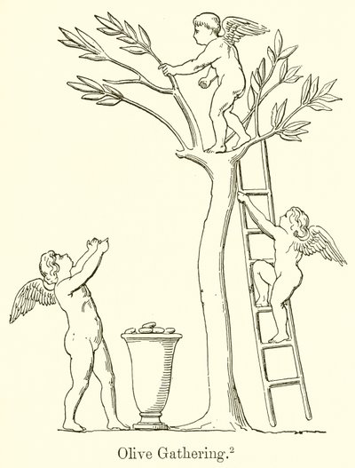 Olive Gathering by English School