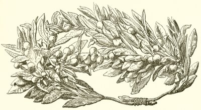 Olive Wreath in Gold by English School