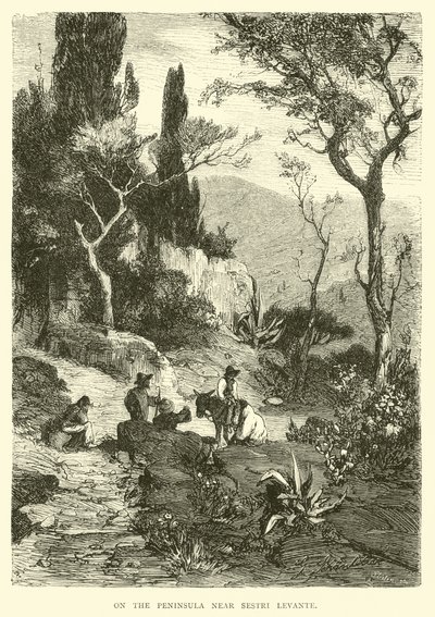 On the Peninsula near Sestri Levante by English School