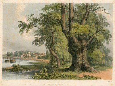On the River Thames, near Putney, London by English School