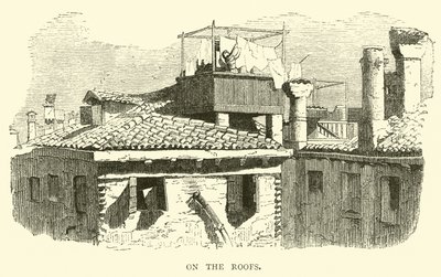 On the Roofs by English School