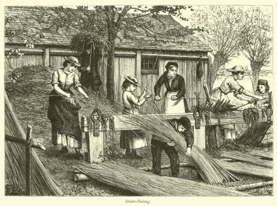 Osier-Peeling by English School