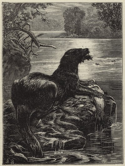 Otter hunting in the north by English School
