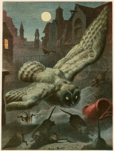 Owl hunting for rats by English School