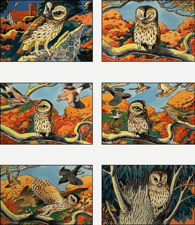 Owls by English School