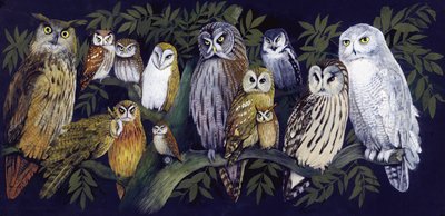 Owls by English School