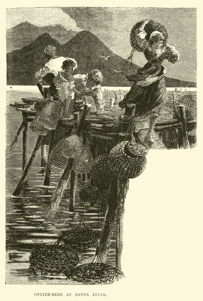 Oyster-beds at Santa Lucia by English School