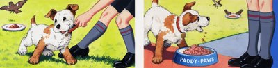 Paddy Paws by English School