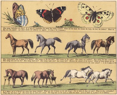 Page from The New Picture Book by English School