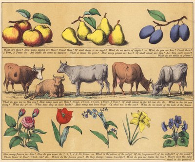 Page from The New Picture Book by English School