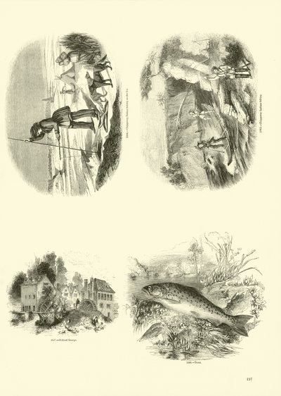 Page from The Pictorial Museum of Animated Nature by English School